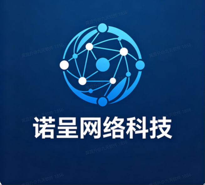 诺呈网络科技